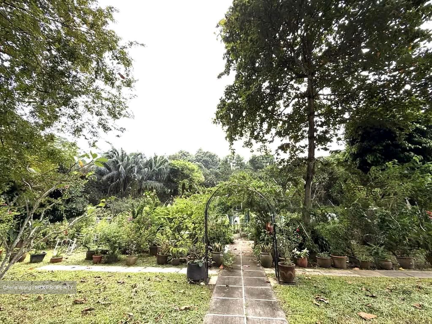 Blk 118 Sunset Way Residence (Clementi), HDB 4 Rooms #588516711